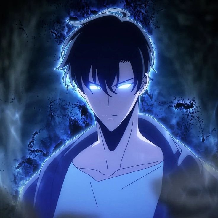 Sung Jin-Woo — The Shadow Monarch from Solo Leveling